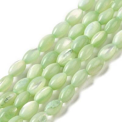 Natural Trochus Shell Beads Strands