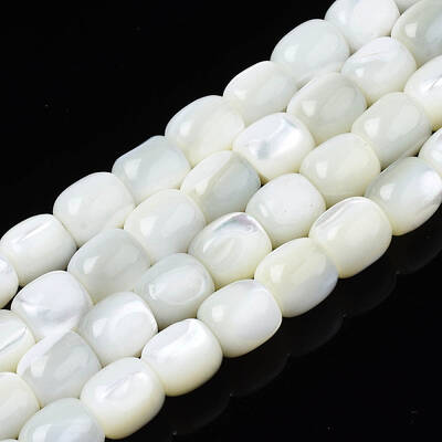 Natural Trochid Shell/Trochus Beads Strands