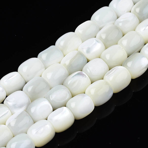Natural Trochid Shell/Trochus Beads Strands