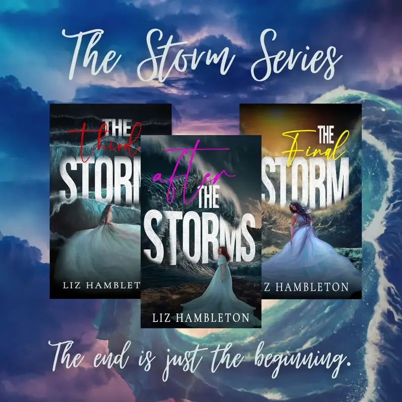 The Storm Series fiction books