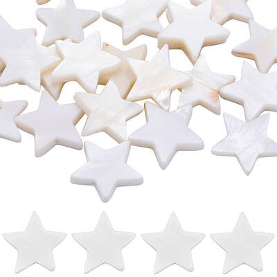 2 Strands Natural Freshwater Shell Beads Strands