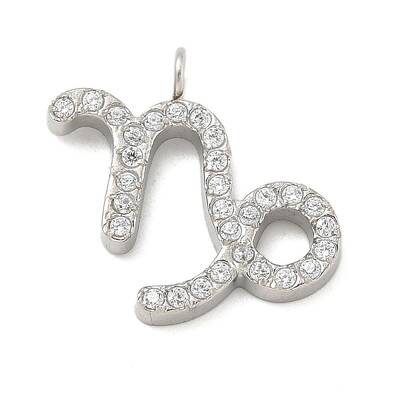 304 Stainless Steel Micro Pave Cubic Zirconia Charms