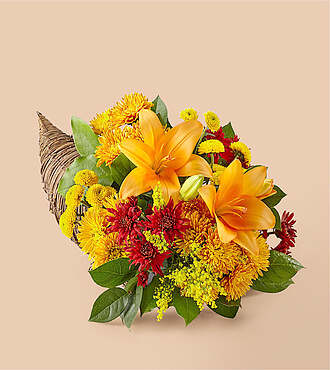 Feast of Color Cornucopia