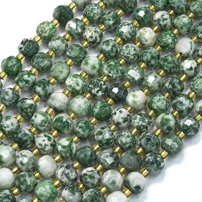 Natural Green Spot Jasper Beads Strands