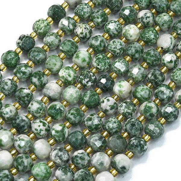 Natural Green Spot Jasper Beads Strands