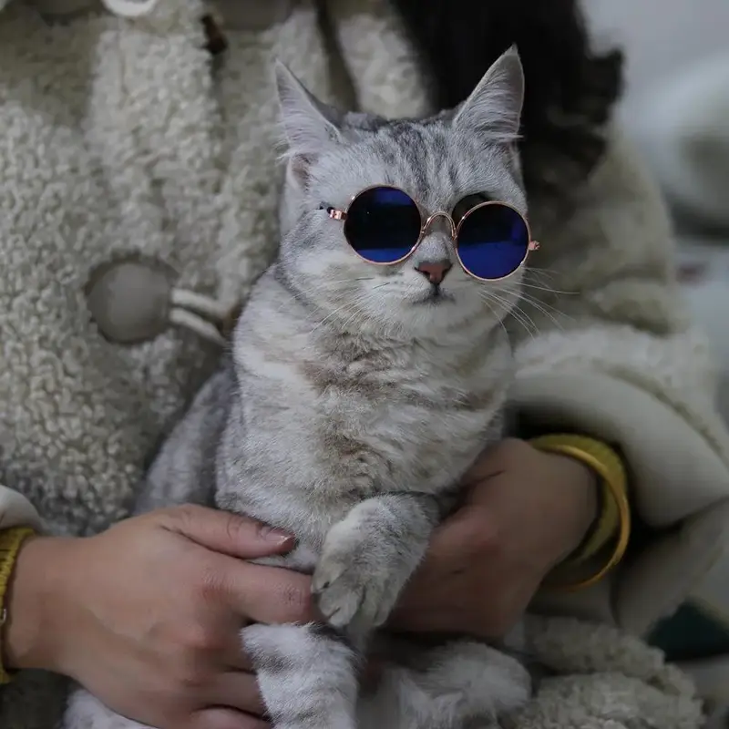 Fashion Eye Glasses for Cats, Retro Circular Cool Sunglasses, Pet Costume Supplies, Round Frame Glasses Photo Props for Small...