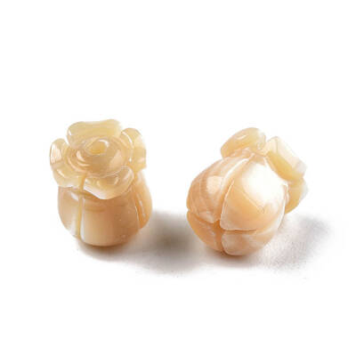 Natural Trochid Shell/Trochus Shell Beads