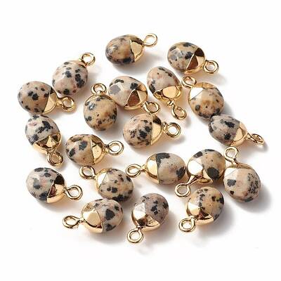 Electroplate Natural Dalmatian Jasper Charms