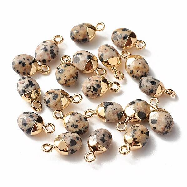Electroplate Natural Dalmatian Jasper Charms