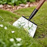 Stainless Steel Garden Shovel, Versatile Garden Shovel, Handleless Shovel, Perfect for Yard Weeding & Outdoor Lawn Cleaning, ...