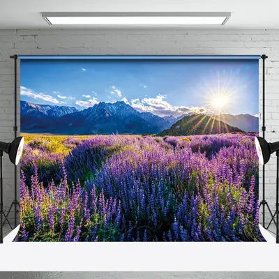 Aperturee Tranquil Lavender Field Mountains Sunrise Backdrop | Photography Photo Background | Photo Booth Backdrop | Photo St...