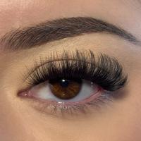 10 Pairs of “Diva” Lashes – Luxurious, Lightweight & Reusable for a Full Week of Glam Looks Eyelashes