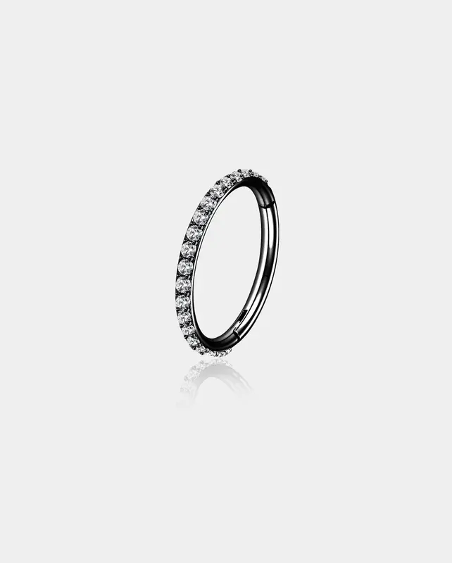 18G Black/Rainbow CZ Segment Nose Ring - Black Barbell / 11mm