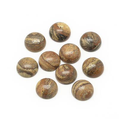 Natural Picture Jasper Cabochons