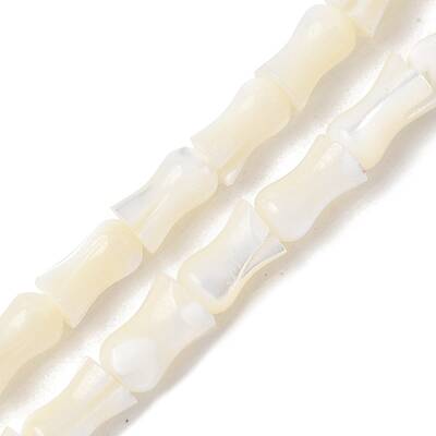 Natural Trochid Shell/Trochus Shell Beads Strands