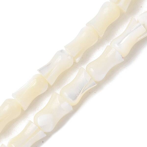 Natural Trochid Shell/Trochus Shell Beads Strands