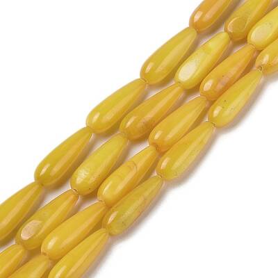 Natural Freshwater Shell Beads Strands