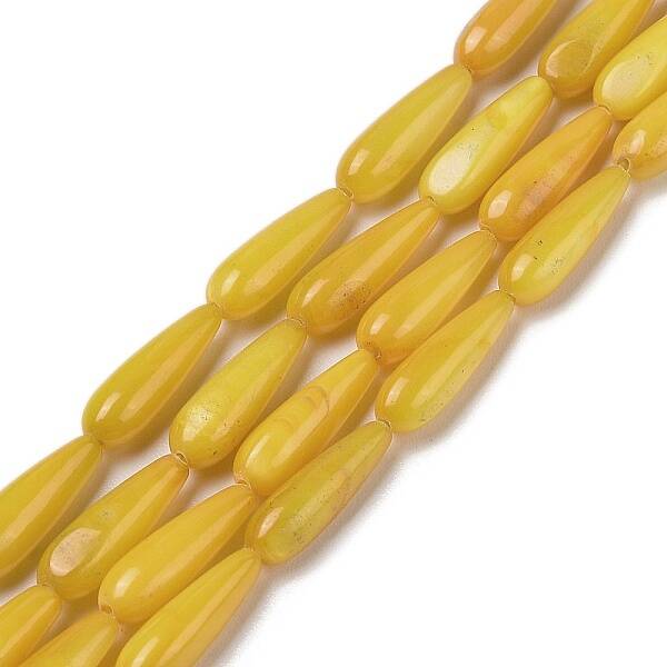 Natural Freshwater Shell Beads Strands