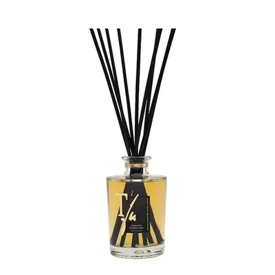 Teatro Fragranze Uniche Spicy Florentine Diffuser 250 ml