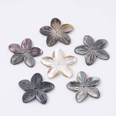 Natural Black Lip Shell Beads