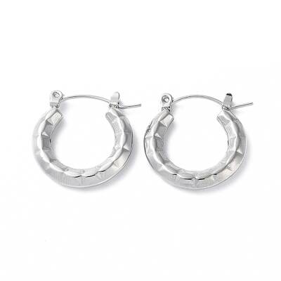 Non-Tarnish 304 Stainless Steel Hoop Earrings