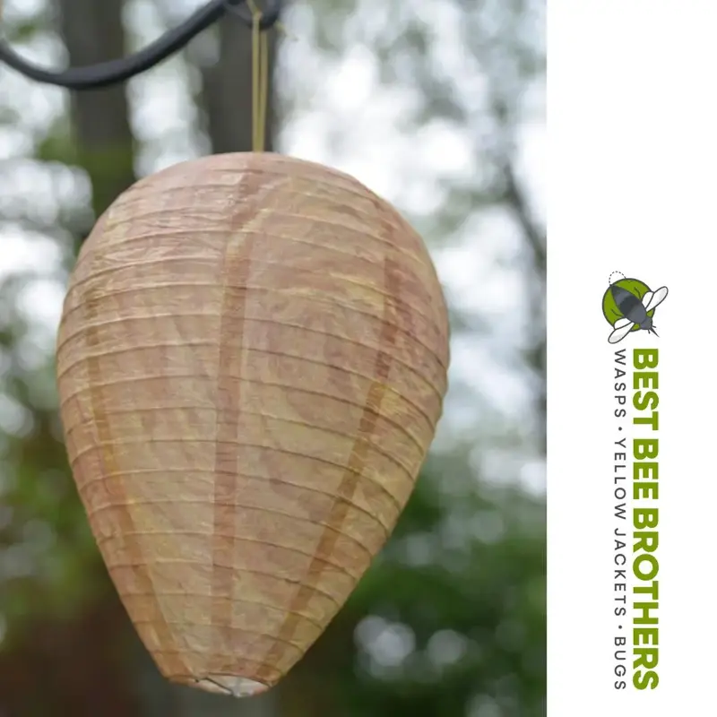 Best Bee Brothers Wasp Deterrent Hives 2 Decoy Nests for Wasps & Yellowjackets Outdoor Garden Wood Protection Natural Wax Pap...