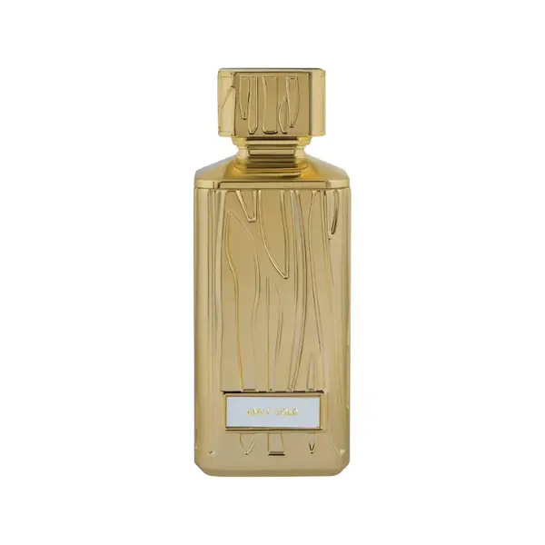Hamidi Envy Gold EDP W 100 ml