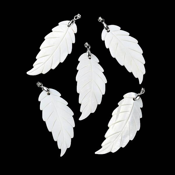 Natural Freshwater Shell Big Pendants