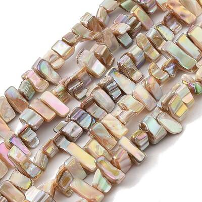 Natural Freshwater Shell Beads Strands