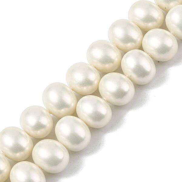 Oval Shell Pearl Beads Strands