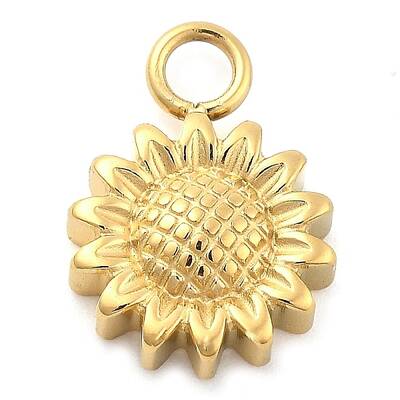 Ion Plating(IP) 304 Stainless Steel Charms