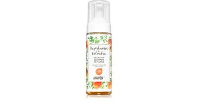 Anwen Peach and Cilantro shampoo 170ml