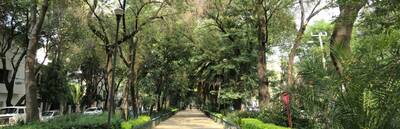 The Architecture of La Condesa: A Mexico City Tour with Context