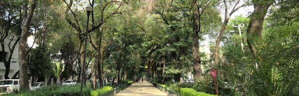 The Architecture of La Condesa: A Mexico City Tour with Context