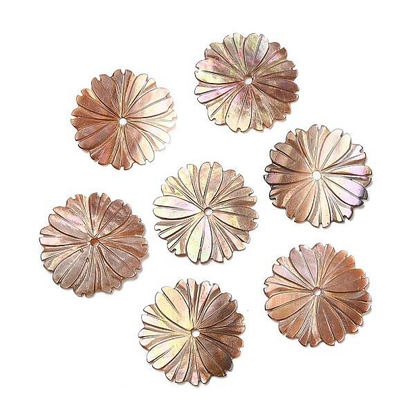 Natural Sea Shell Beads