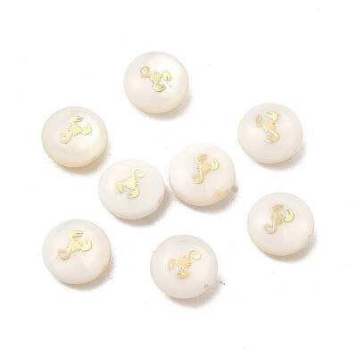 Natural Freshwater Shell Beads