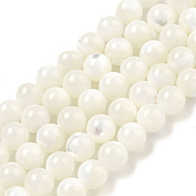 Natural Sea Shell Beads Strands