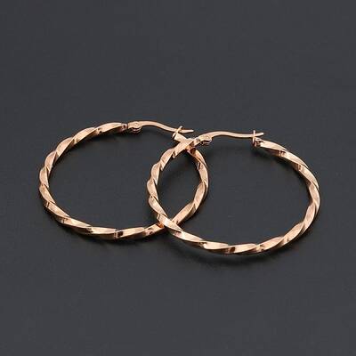 Stainless Steel Hoop Earrings