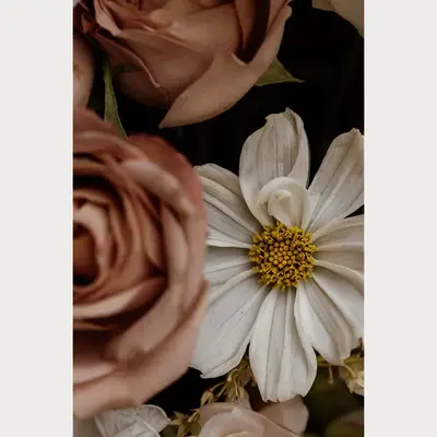 Love Letter - 7 | Size: 16