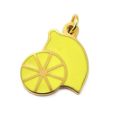 304 Stainless Steel Enamel Charms