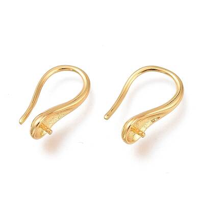 Brass Earring Hooks
