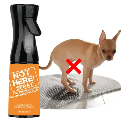 NOT HERE SPRAY - Anti Cat & Dog Urine Spray - 5 Fl Oz -No More Marking Spray for Dogs & Cats-Non-Staining Potty Training spra...