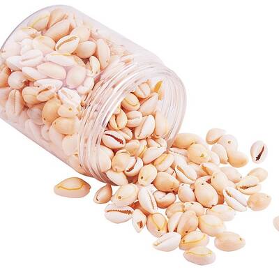 Natural Cowrie Shell Beads