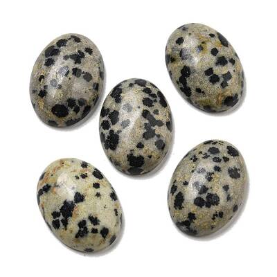 Natural Dalmatian Jasper Cabochons