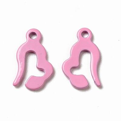 Spray Painted 201 Stainless Steel Charms