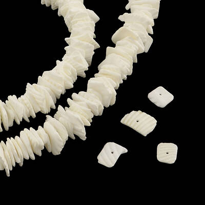 Chips Natural Dyed Seashell Beads Strands