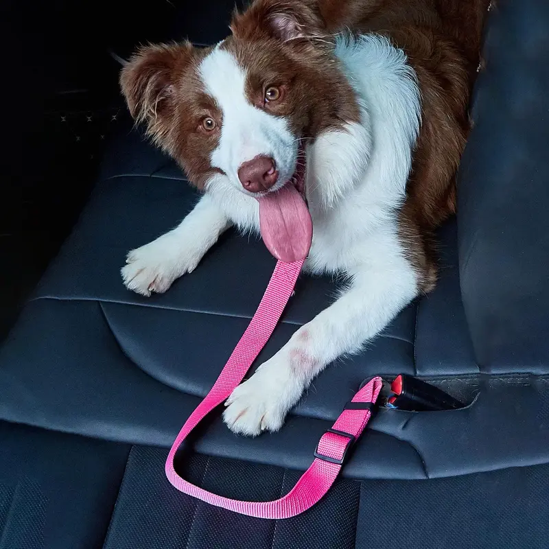 Adjustable Car Seat Belt Dog Leash, Durable Car Safety Leash for Small Dogs, Dog Traction Rope, Dog Accessories, Dog Car Safe...