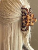 Fashionable Leopard Pattern Hair Claw, Fashionable Hair Accessories for Women & Girls, Casual Versatile Hair Accessories for ...