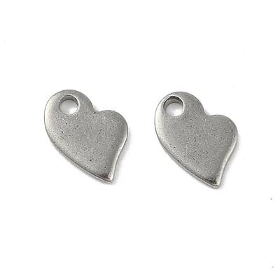 Non-Tarnish 201 Stainless Steel Charms