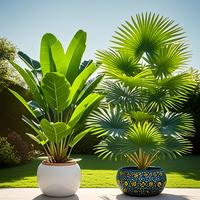 2pcs Extra Large Artificial Palm Trees & Banana Trees - 23.5\